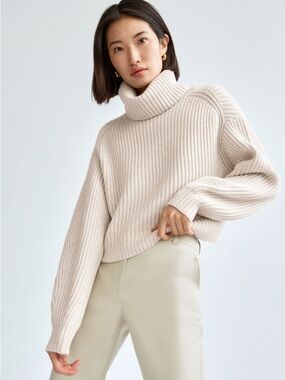 Aritzia white turtleneck sweater